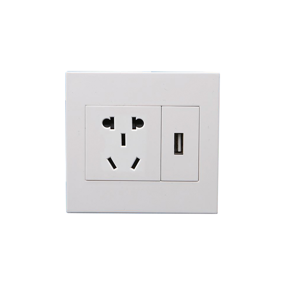 RGS-FHD (2 Gang Socket 10A-250V~)